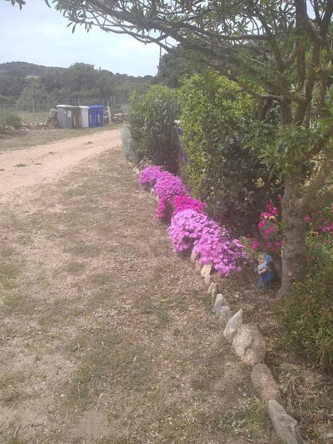 B&B Li Salcuneddi Aglientu Bagian luar foto